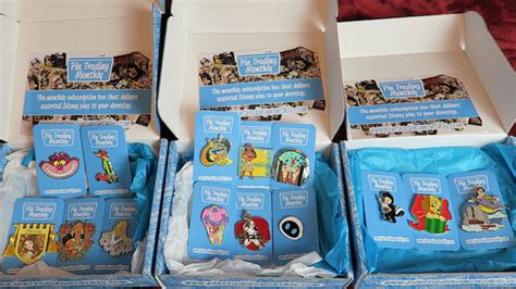 pin subscription box.